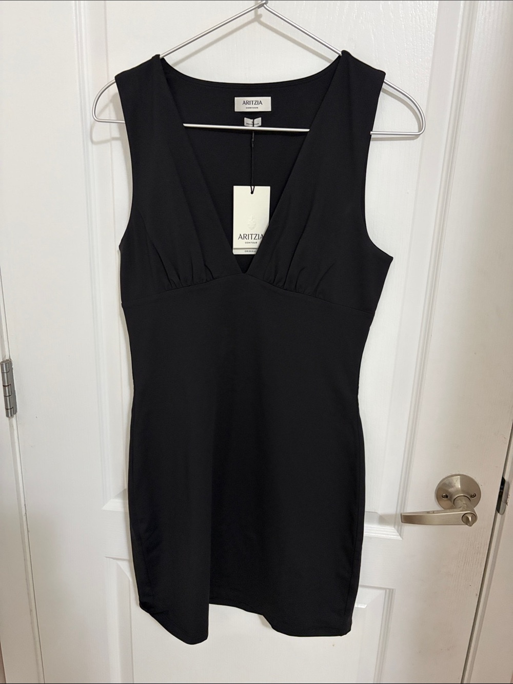 Aritzia Dress